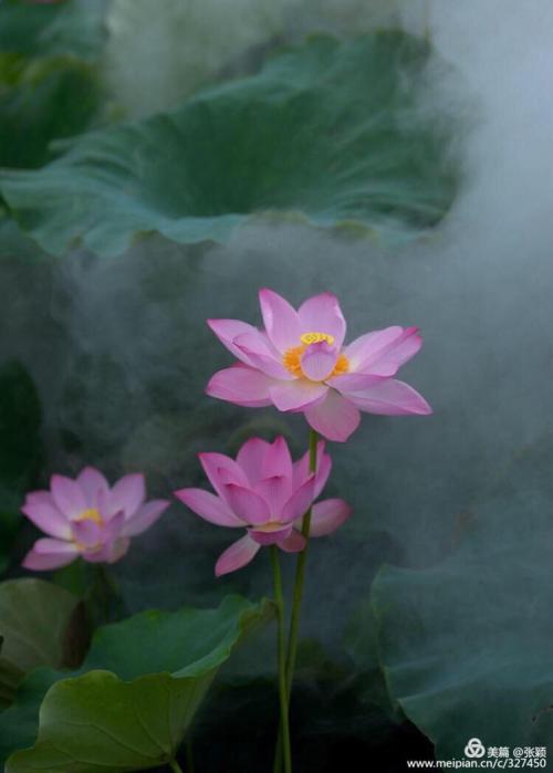 雨中最好的时间