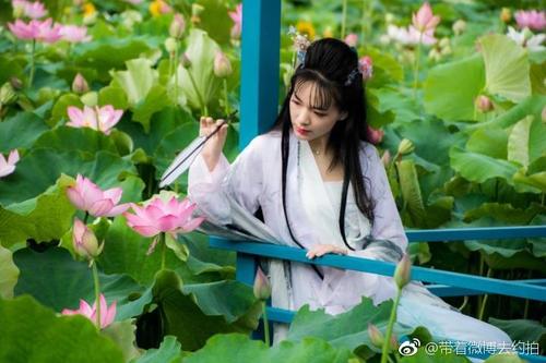 享受莲花