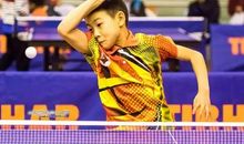 我学会了打乒乓