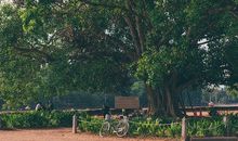 偶尔停下来也不错