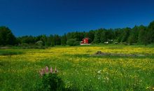 漫步在春天的田野里