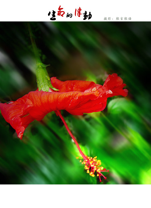 生活节奏