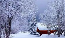 雪花儿飘飘_600字