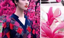 藏在心底的柔情