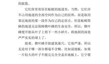 三年级读后感：《北风和太阳》_400字