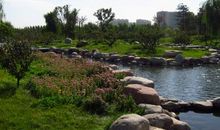 八月的胜溪湖森林公园