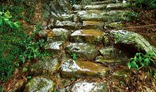 寻幽访古的好习惯