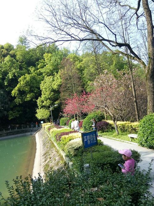 陶醉于春天