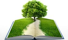 想象作文:一棵树的命运