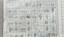 三年级读后感：《孔融让梨》_550字