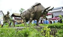 感受身边农家文化