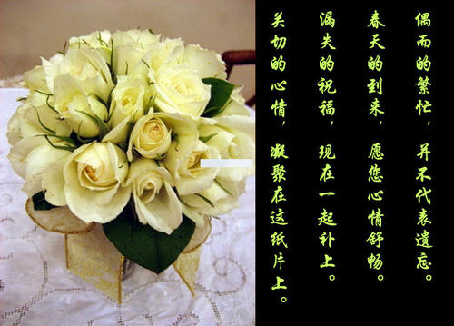 朋友之歌