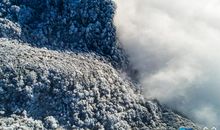 怎敌白雪落肩头