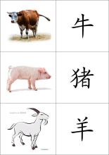 缝纫沙袋_900字