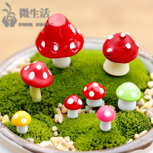 多彩组合