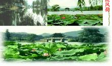 素描钱塘湖春行