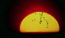 等待是一种美丽的忧伤