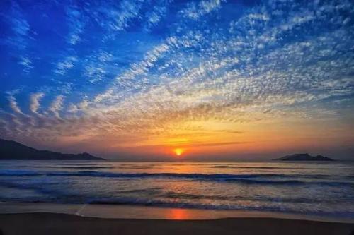 秋海