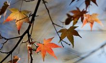 雨还在脚下徘徊_500字