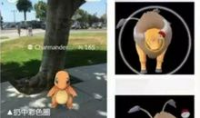 摆脱桎梏才能不断成长