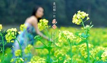 我真想走进那一片花海