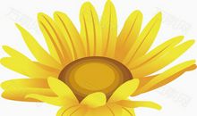 倾听“向月葵”的声音