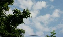 夏日的午后，闲思万种_500字