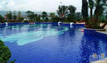 读《太阳城》有感