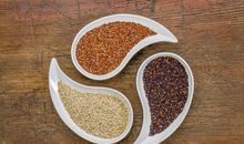 眼泪掉进碗里的声音_1500字