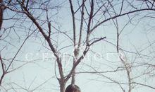 假如流水能回头,请你带我走_550字