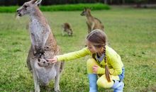 澳洲动物天然的家