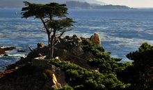 分离是成长的必经路