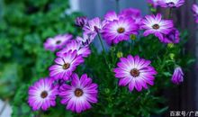 那一次，我成长了