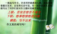 在生活中学会语文