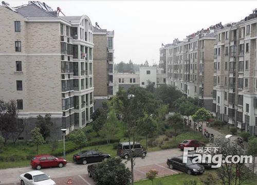 我眼中美丽的新城市