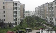 我眼中的美丽新城