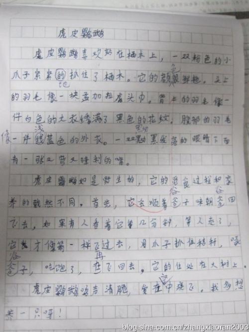 如果我是客户组合
