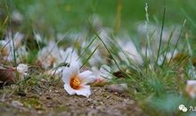 人间何处无风景