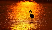 话说学骑车_550字