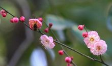 时光静好，不忘温暖