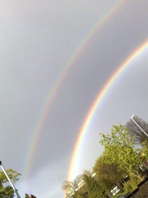风雨彩虹