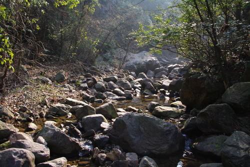 大旗山的秋天