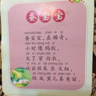 蚕的故事
