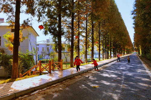 让我们共同建设一个美丽的国家