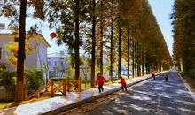 一起来建设美好乡村吧