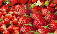 散发着水果芳香的青春_350字