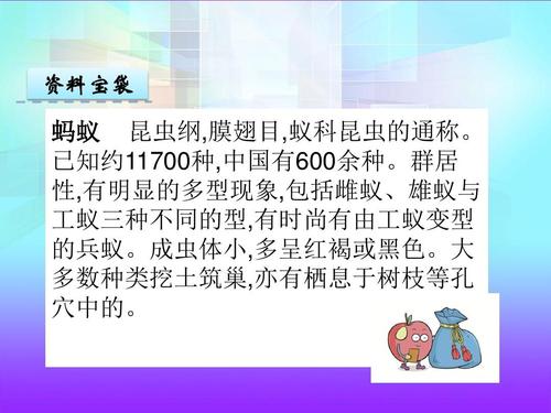 生命壮歌