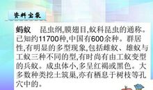 生命的壮歌读后感