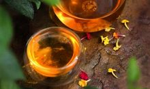 点引前行的明灯