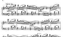 我最喜欢的一首乐曲——《蓝色多瑙河》_600字